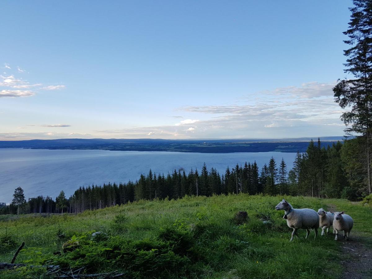 Готель Idylliske Evjua Ved Mjosa Skreia Екстер'єр фото